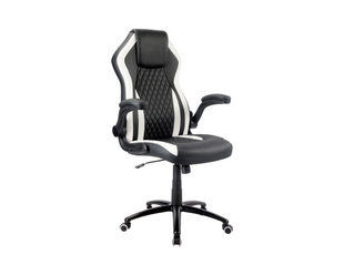 Racing Chairs chaise de jeu CL-RC-BW-2 noir/blanc