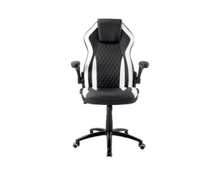 Racing Chairs chaise de jeu CL-RC-BW-2 noir/blanc
