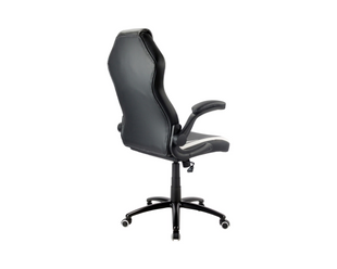 Racing Chairs chaise de jeu CL-RC-BW-2 noir/blanc