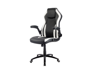 Racing Chairs chaise de jeu CL-RC-BW-2 noir/blanc