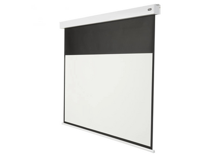 Celexon Motorleinwand Batterie V2.0 Motor Pro Plus 220x124 cm 16:9