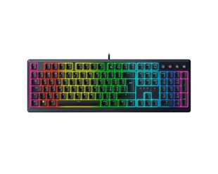 Razer gaming keyboard Ornata V3