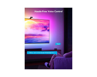 Govee Envisual TV Backlight T2, 55"-65", RGBIC, WiFi, BT