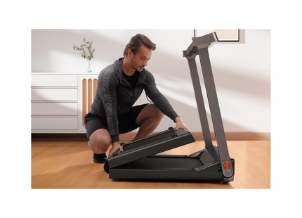 KingSmith Walkingpad G1