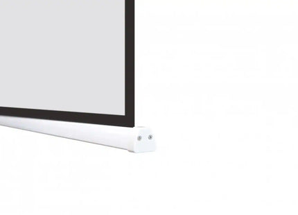 Celexon Motorleinwand Batterie V2.0 Motor Pro Plus 220x124 cm 16:9