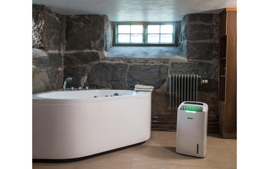 Wood's Deumidificatore AD20 (100 m²)