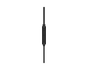 Écouteurs intra-auriculaires Philips TAE2146BK/00 Noir