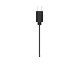 Écouteurs intra-auriculaires Philips TAE2146BK/00 Noir