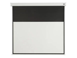 Celexon Motorleinwand Batterie V2.0 Motor Pro Plus 220x124 cm 16:9