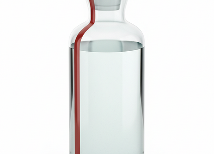 Glas Karaffe mit Holzdeckel