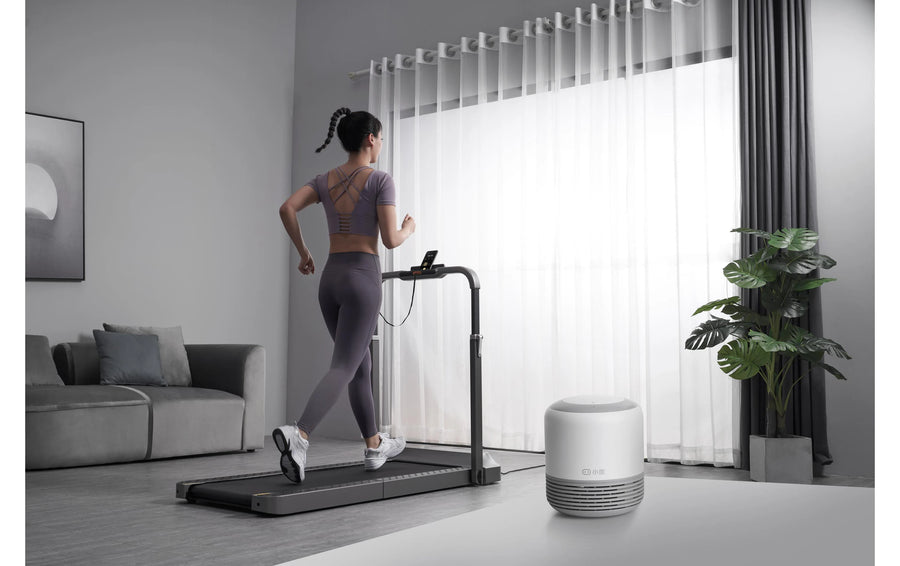 KingSmith Tapis roulant WalkingPad R2B, max. 12 km/h