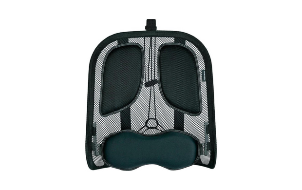 Fellowes Back Support Professional Mesh
