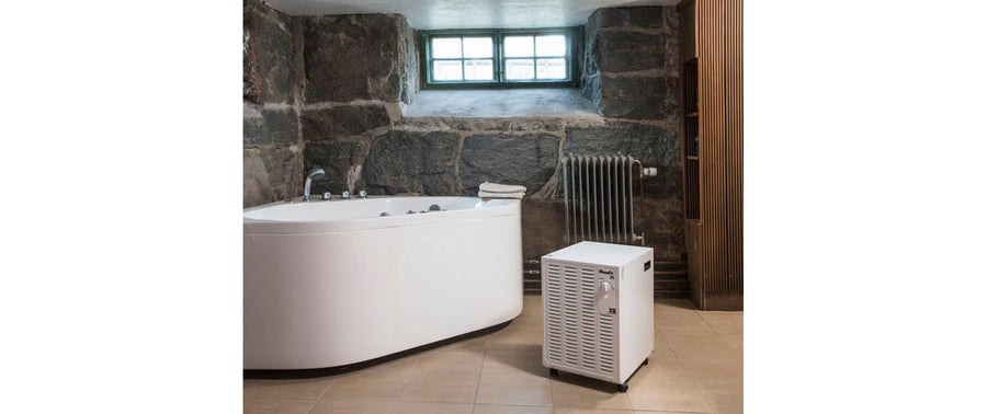 Wood's Deumidificatore SW20-FW (90 m²)