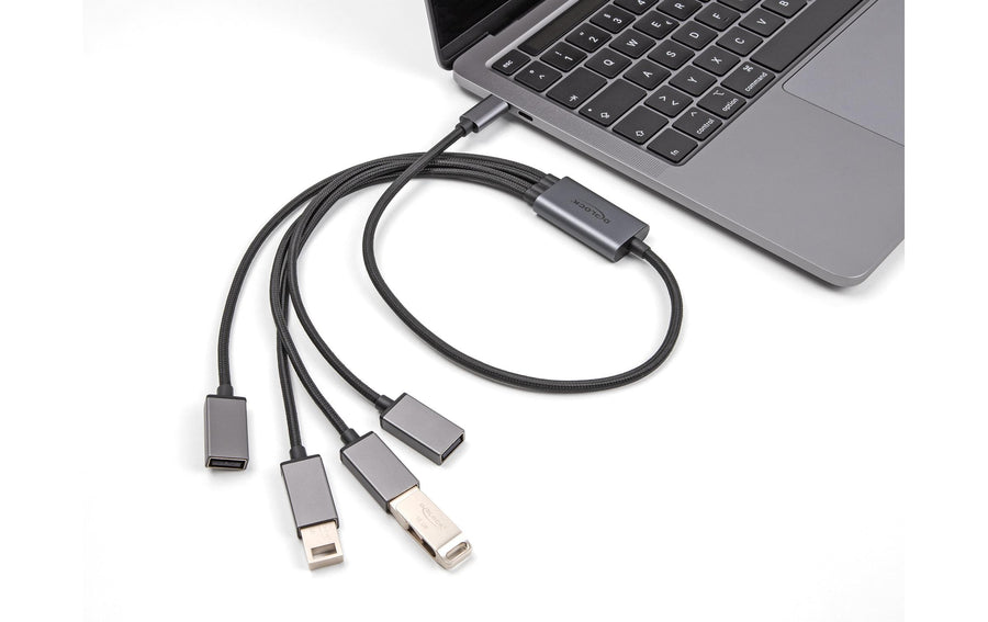 Delock USB-Hub USB 2.0 - 4x USB-A, USB Type-C, 60 cm - Foto 3