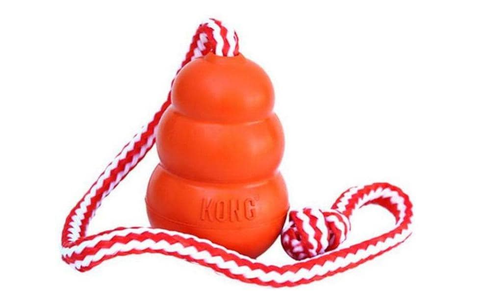 Kong Hunde-Spielzeug Kong Aqua Ø 10.5 cm