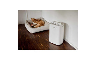 Ecofort Entfeuchter ecoQ DryAir 20L Complete 50 m²