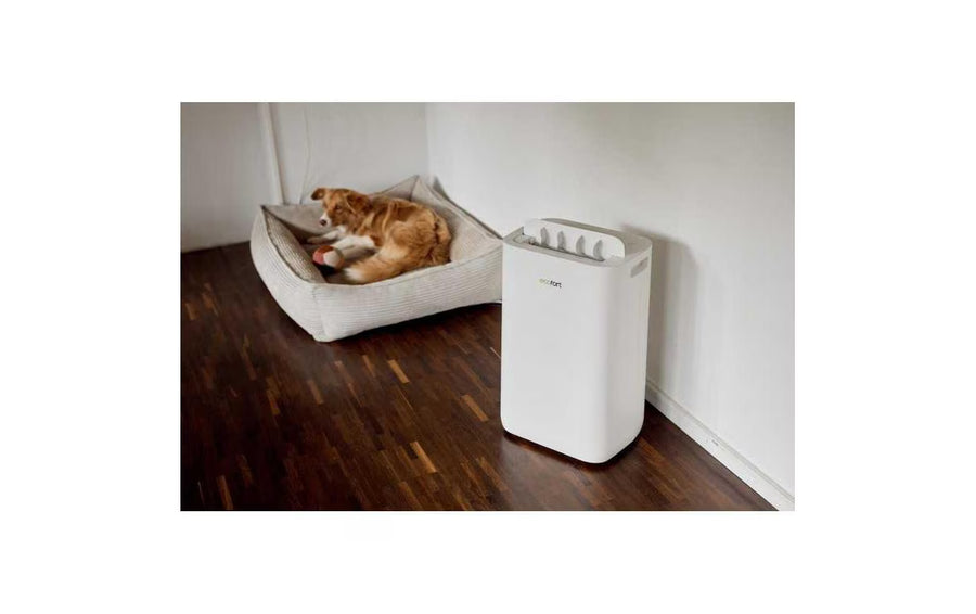Ecofort Deumidificatore ecoQ DryAir 20L Complete 50 m²