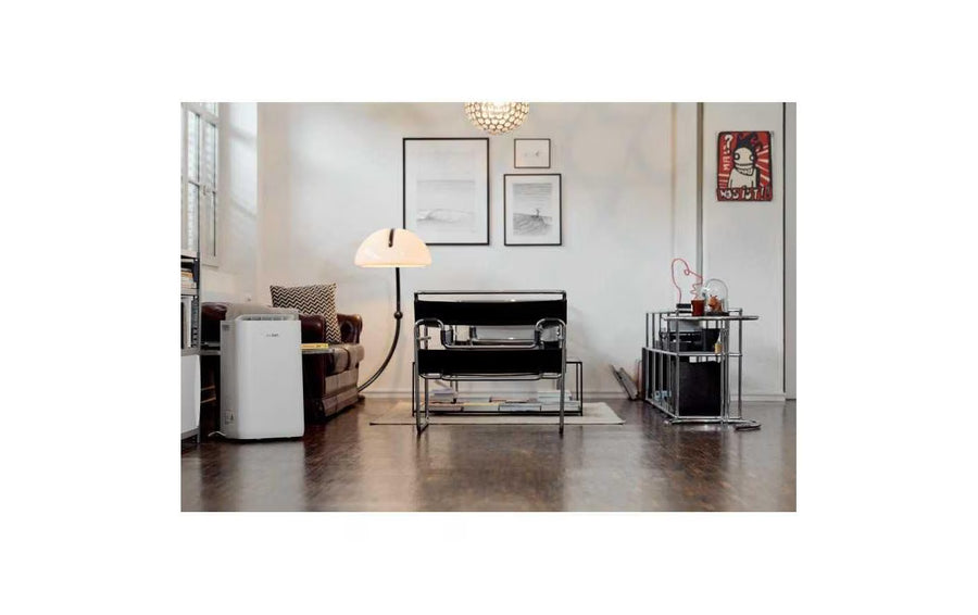 Ecofort Deumidificatore ecoQ DryAir 20L Complete 50 m²