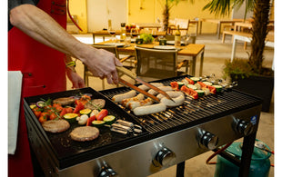 Blaser + Trösch Gastrogrill Companion Pro