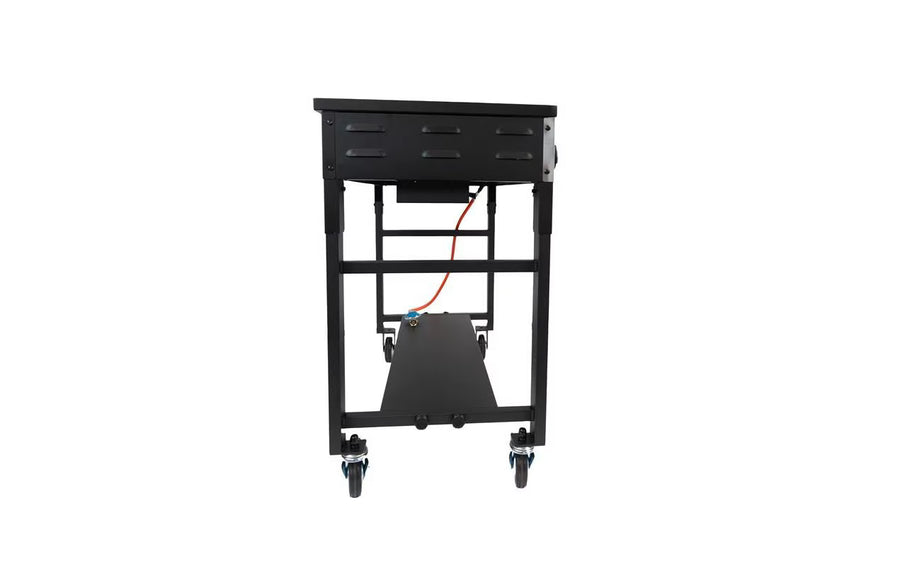 Blaser + Trösch Grill professionale Companion Pro