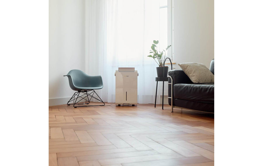 Ecofort Deumidificatore ecoQ DryAir 35 l Energy Saver (85 m²)