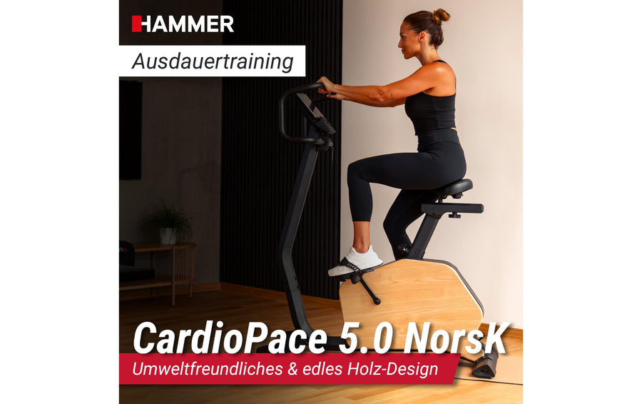 HAMMER Ergometer CardioPace 5.0 Norwegian