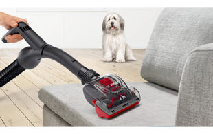 Bosch Bodenstaubsauger ProAnimal BGC41PET Rot