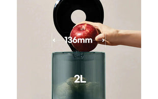 Hurom Slow Juicer H320N Matt Black