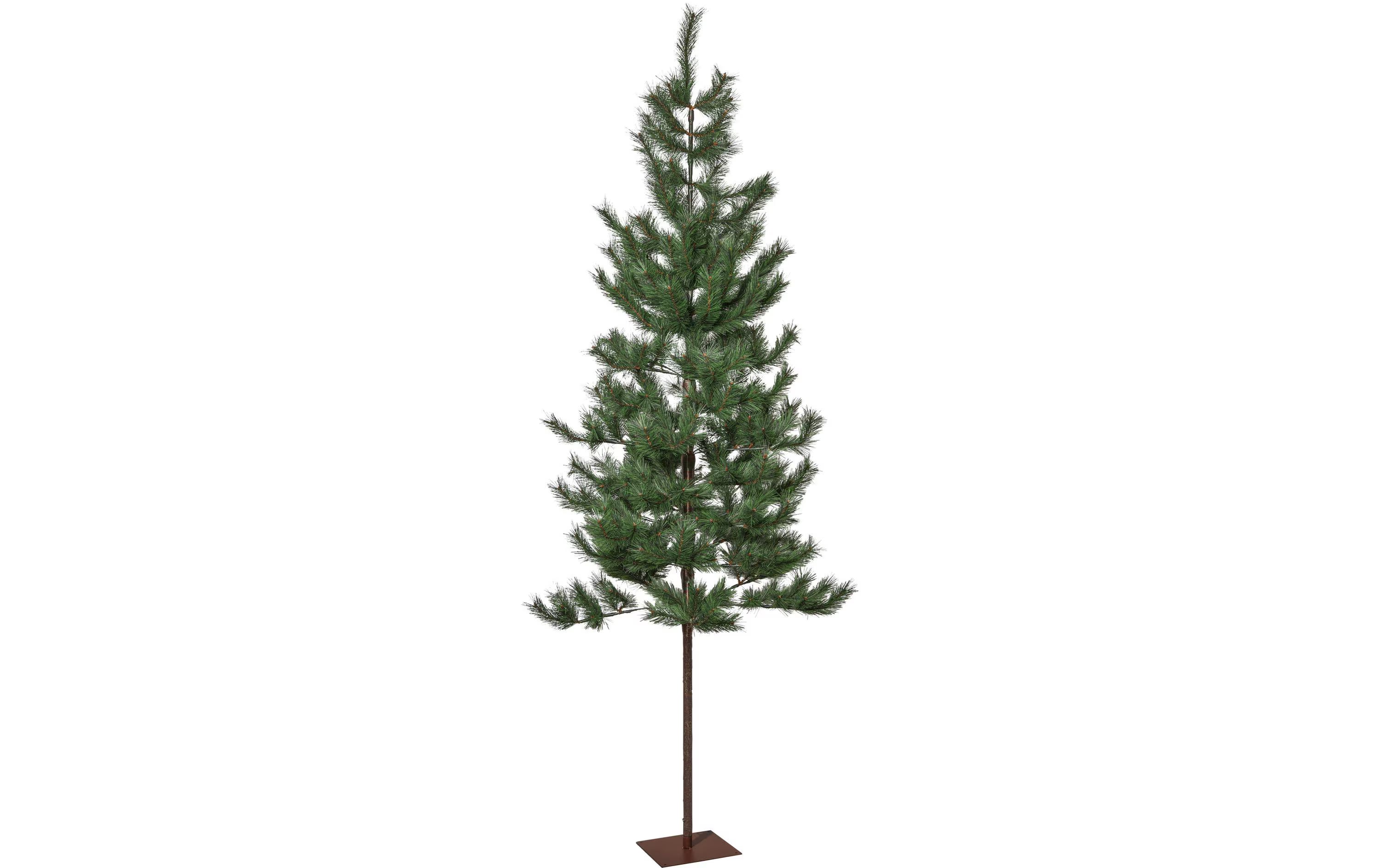 Star Trading Weihnachtsbaum Tallis Indoor, Grün, 200.00 cm Höhe