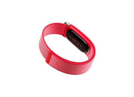 Fitbit Air Rot