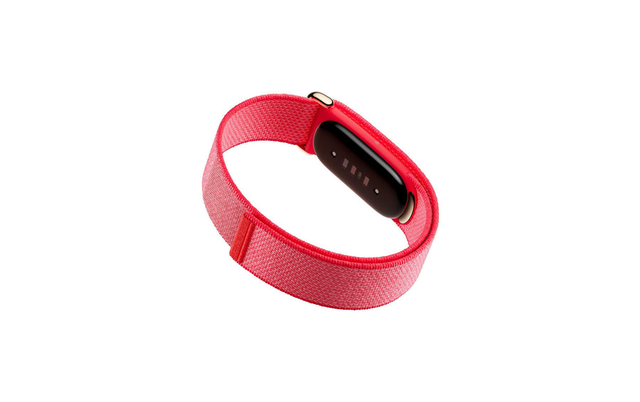 Fitbit Air Rot