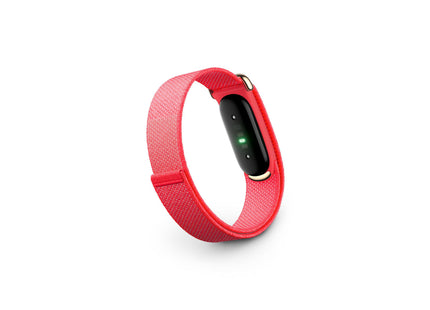 Fitbit Air Rot