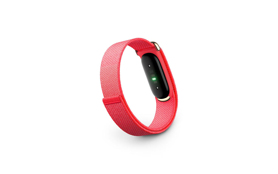 Fitbit Air Rot