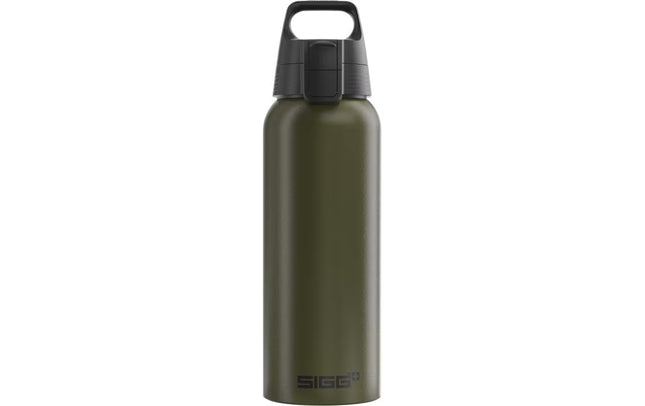 Sigg Trinkflasche WBM One 1000 ml, Grün