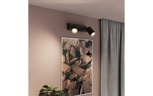 Philips Philips Wyatt Aufbauspot 2er ohne Leuchtmittel GU10, schwarz