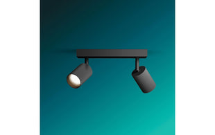 Philips Philips Wyatt Aufbauspot 2er ohne Leuchtmittel GU10, schwarz