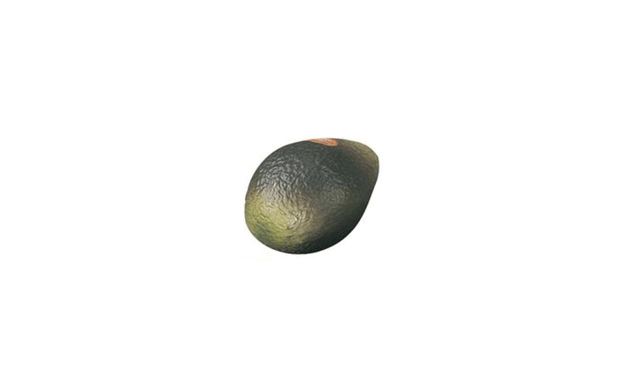 Remo Fruit Shaker Avocado