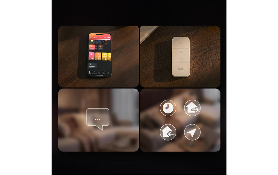 Philips Hue Festavia Net Lights 250 LEDs 1 x 3 m 250 LEDs
