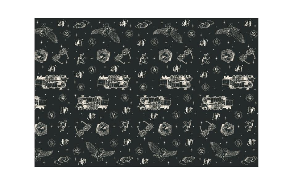 Partydeco Harry Potter 120 cm x 180 cm, Beige/Schwarz