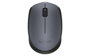 Logitech Maus M170, kabellos