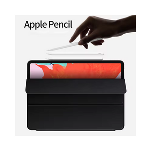 Magnetic Case für Apple iPad Pro 11", Schwarz