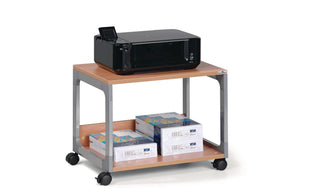 Chariot multifonction DURABLE 48