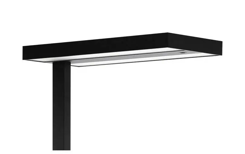 Eglo Professional Lampada da terra per ufficio GARABELLA Nero