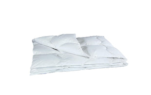 Albis Albis Wave 800 Ganzjahresduvet 200 x 210 cm