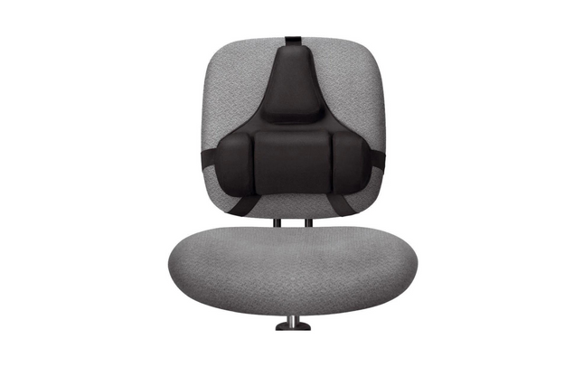 Fellowes support dorsal professionnel
