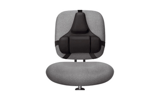 Fellowes Rückenstütze Professional