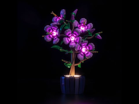 BrickBling LED-Licht-Set für LEGO® Hibiskus (10372) - Video 1