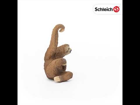 Schleich Spielzeugfigur Wild Life Faultier - Video 1