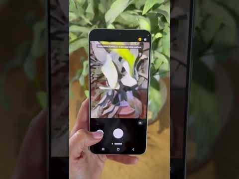 Samsung Galaxy A57 5G 256 GB Awesome Gray - Video 3