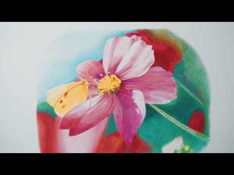 Derwent Coloursoft Buntstifte, mehrfarbig, 72-teilig - Video 1